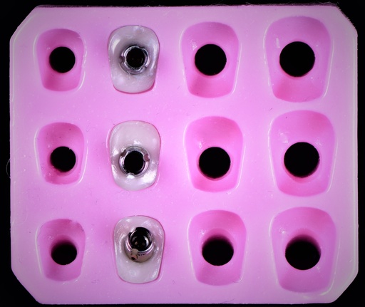 Posterior Rubber Index