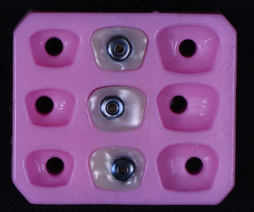 Premolars Rubber Index