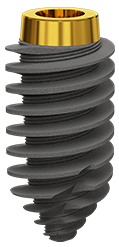 Rootform Two Pieces Dental Implant diameter 5.5 mm, length 12 mm