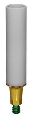 Burn-out Abutments with titanium base ABM