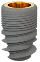 ROOTT R Two Pieces Dental Implant diameter 3.8 mm,length 6 mm.