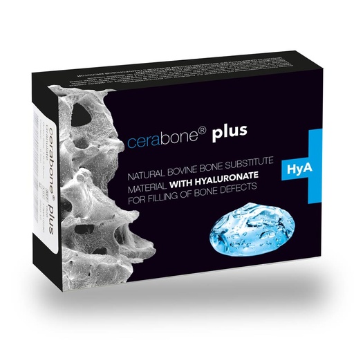 Cerabone Granules 1.0 cc